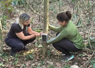 Prefeitura de São Pedro da Aldeia instala câmeras de monitoramento na Ilha dos Macacos