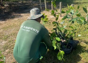 Cabo Frio realiza replantio de mudas de mangue na Praia das Palmeiras