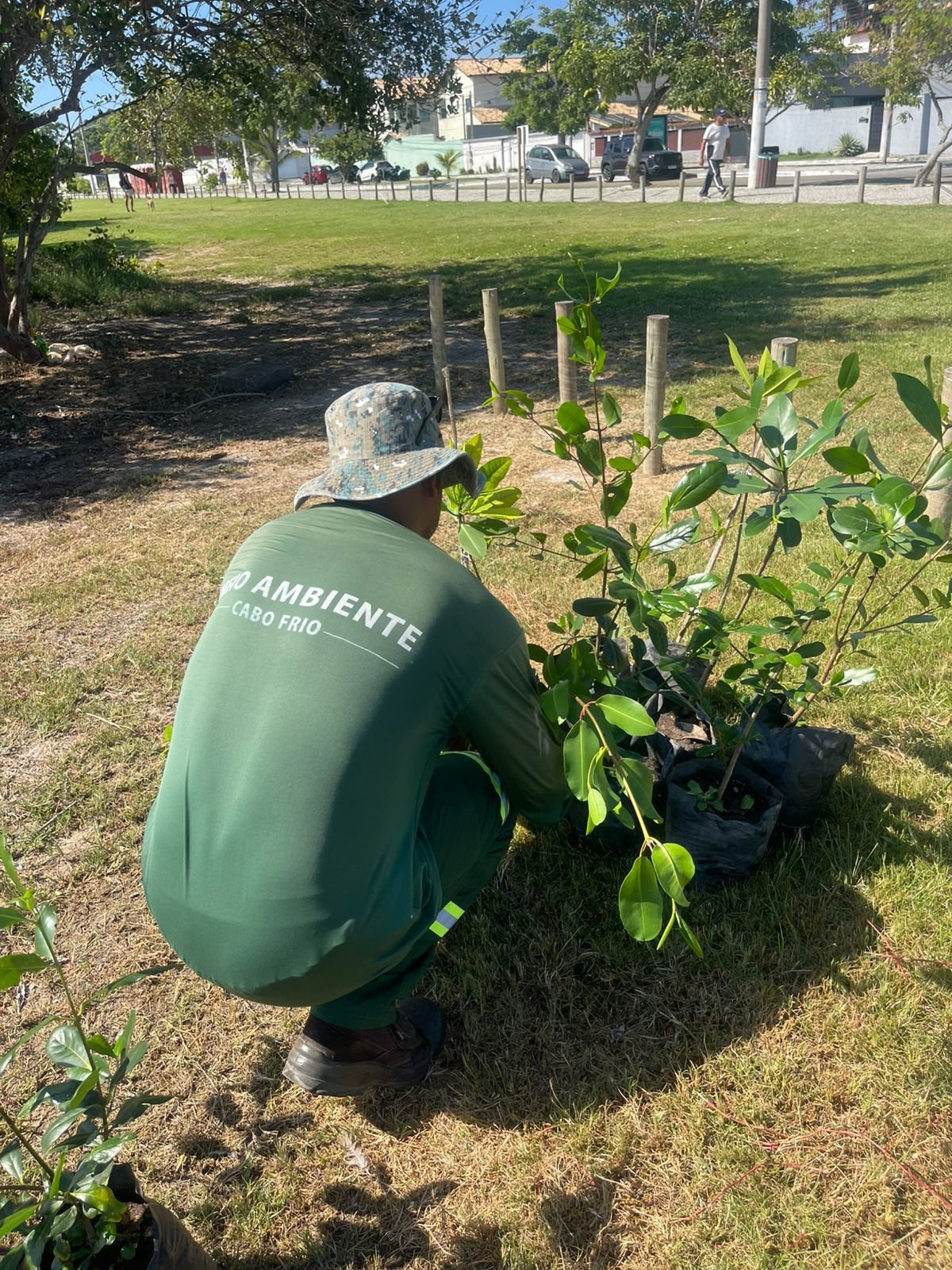 Cabo Frio realiza replantio de mudas de mangue na Praia das Palmeiras