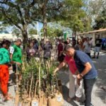 Prefeitura realiza mais uma edição do Programa Araruama Verde, que já distribuiu mais de 10 mil mudas de plantas