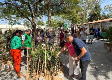 Prefeitura realiza mais uma edição do Programa Araruama Verde, que já distribuiu mais de 10 mil mudas de plantas