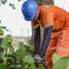 Mutirão de Serviços reforça limpeza urbana no bairro Guarani, em Cabo Frio