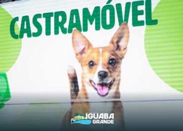 Clínica Animal de Iguaba Grande amplia acesso à castração gratuita e reforça importância do controle populacional em cães e gatos
