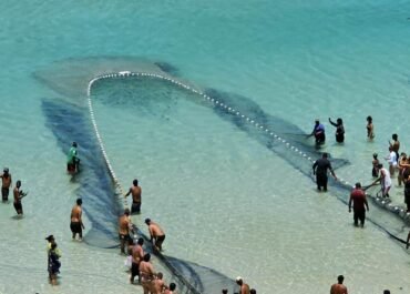 Produção pesqueira cresce e ultrapassa 770 toneladas em Arraial do Cabo em 2025