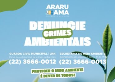 Prefeitura de Araruama divulga canais oficiais para denúncias e crimes ambientais