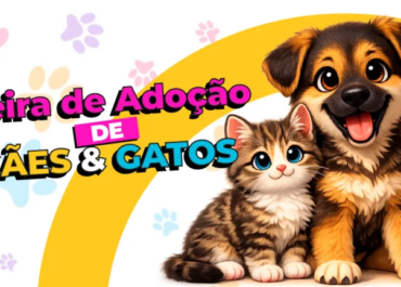 São Pedro da Aldeia recebe feira semanal de adoção de cães e gatos