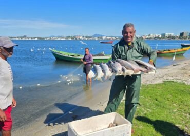 Tainha da Lagoa de Araruama pode ganhar Indicação Geográfica, após resultados da pesquisa da Embrapa