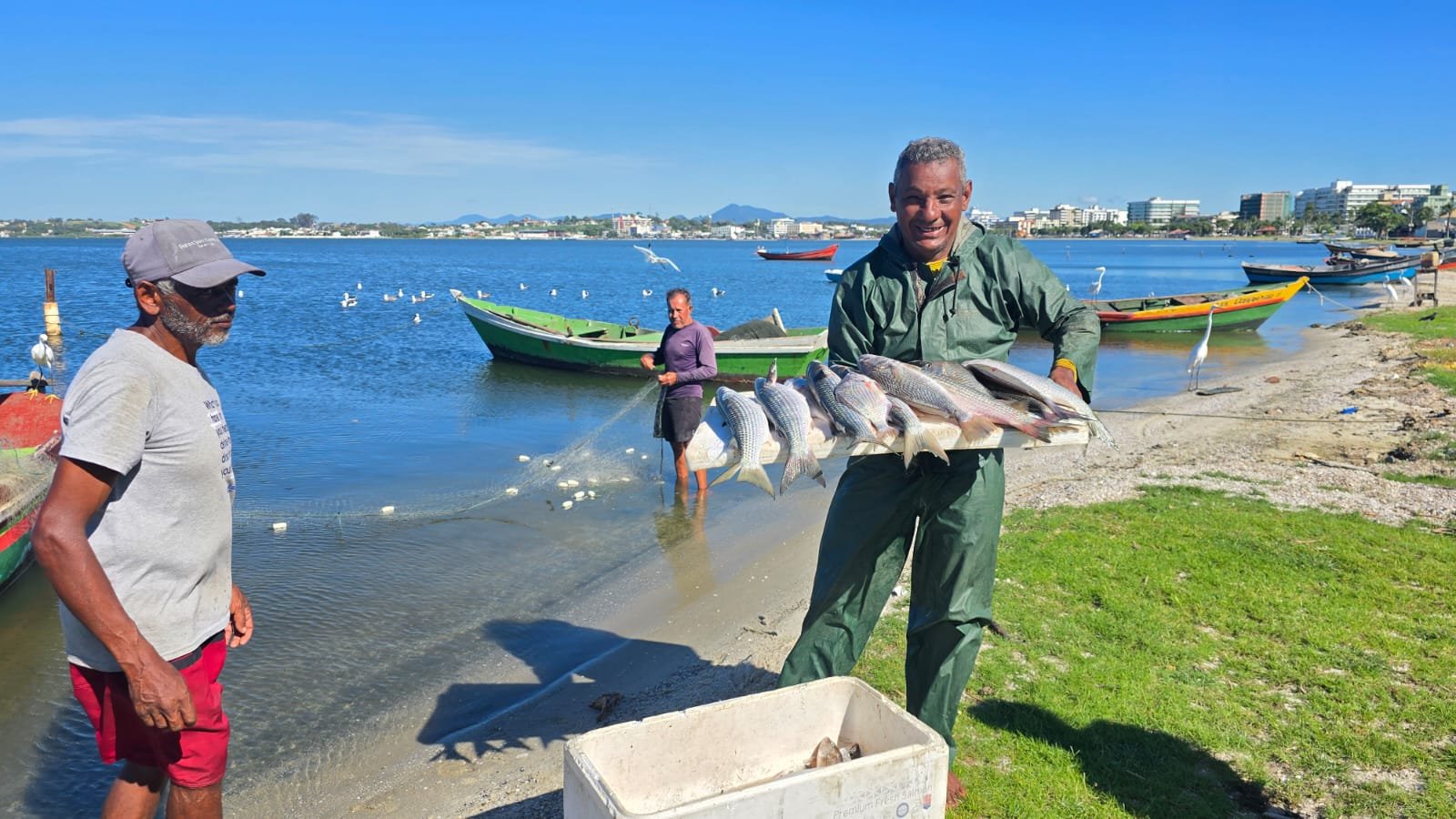 Tainha da Lagoa de Araruama pode ganhar Indicação Geográfica, após resultados da pesquisa da Embrapa