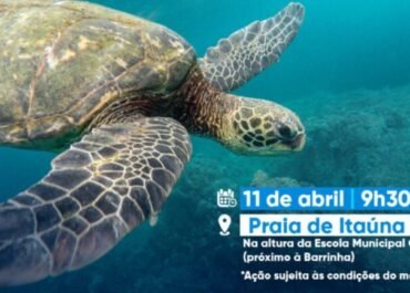 Saquarema promove soltura de tartaruga-verde com ação educativa na Praia de Itaúna no próximo sábado