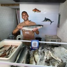 Festival do Peixe 2026 valoriza tradição pesqueira, gastronomia e cultura local em Araruama