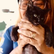 Prefeitura de Cabo Frio promove Feira de Adoção Animal neste sábado (25)
