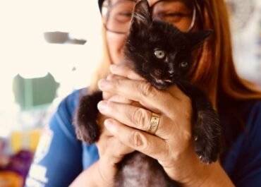 Prefeitura de Cabo Frio promove Feira de Adoção Animal neste sábado (25)
