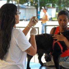 Projeto de castração gratuita para cães e gatos retorna a Cabo Frio