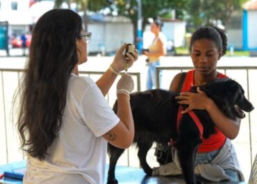 Projeto de castração gratuita para cães e gatos retorna a Cabo Frio