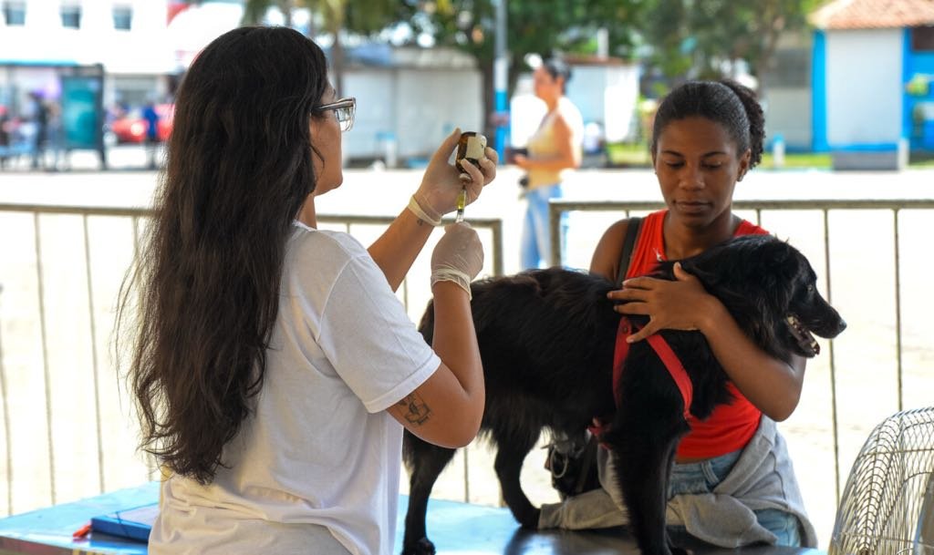 Projeto de castração gratuita para cães e gatos retorna a Cabo Frio