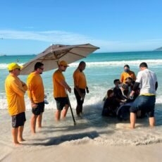 Força-tarefa mobiliza equipes e garante resgate de cachalote-mirim em Cabo Frio