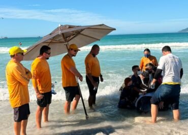 Força-tarefa mobiliza equipes e garante resgate de cachalote-mirim em Cabo Frio