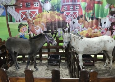 Mini Fazendinha transforma Expo Agro Araruama 2026 em um mundo de encantamento para as crianças