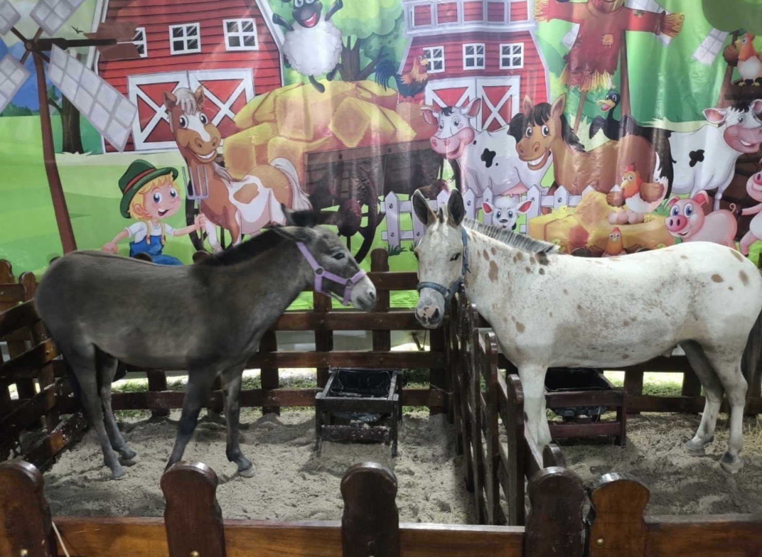 Mini Fazendinha transforma Expo Agro Araruama 2026 em um mundo de encantamento para as crianças