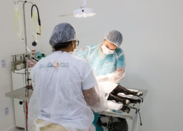 Saquarema Promove Mutirão de Adoção e Castração Animal Neste Sábado