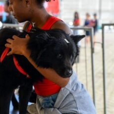 Castramóvel retorna a Cabo Frio na próxima segunda-feira (31) para nova etapa de atendimentos