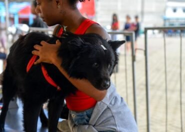 Castramóvel retorna a Cabo Frio na próxima segunda-feira (31) para nova etapa de atendimentos
